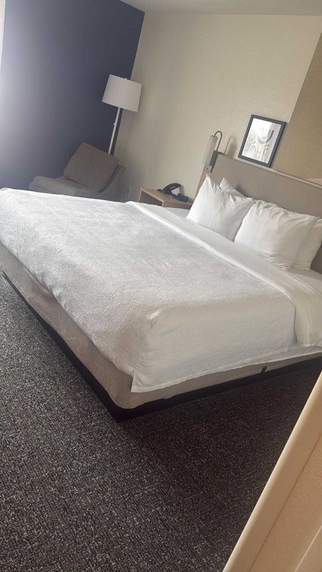 Hotel Spark By Hilton 3*